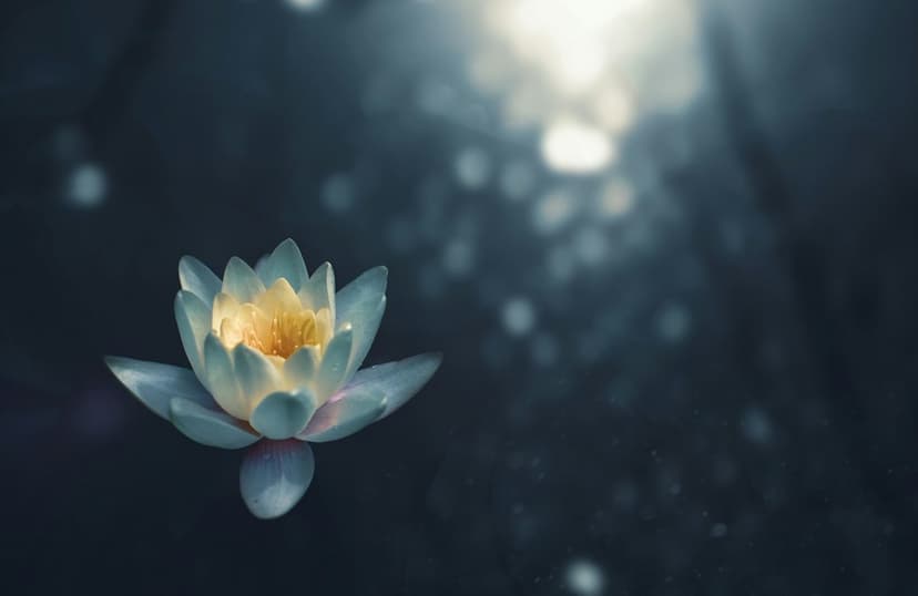 Restoration of resources and life flow